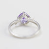 Wholesale Women's Light Luxury Geometric 925 Silver Electroplated Ring With Ice Flower Zirconium And White Zirconium