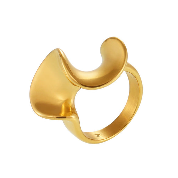 Wholesale Women's Light Luxury Geometric Sshaped Stainless Steel Electroplated Ferris Wheel Ring