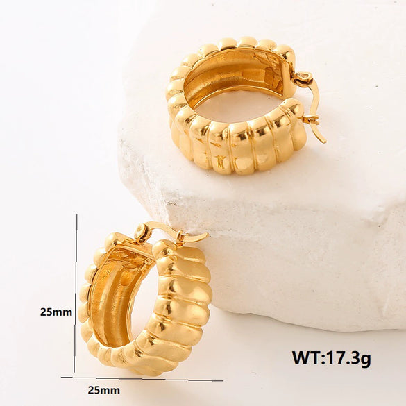 Wholesale Women's Light Luxury Geometric Stainless Steel Electroplated Earrings Jewelry