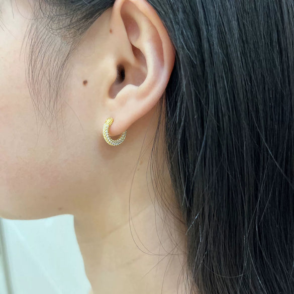 Wholesale Women's Light Luxury Geometric 925 Sterling Silver Earrings With Electroplating Design