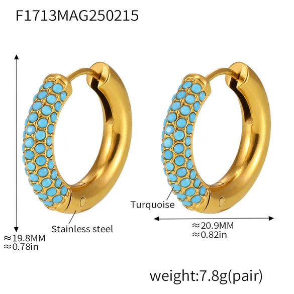 Wholesale Women's Light Luxury Geometric Titanium Steel Stainless Steel Electroplated Ferris Wheel Circle Earrings