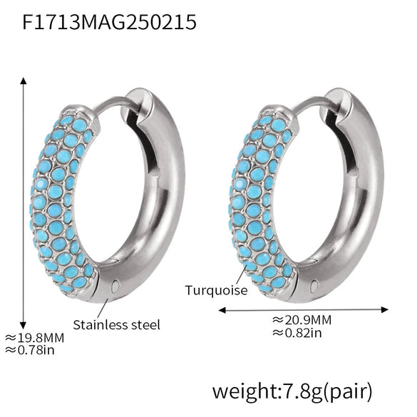 Wholesale Women's Light Luxury Geometric Titanium Steel Stainless Steel Electroplated Ferris Wheel Circle Earrings