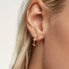 Wholesale Women's Light Luxury S925 Silver Needle And Copper Earrings With Microinlaid Colorful Zircon In Asymmetrical And Ushaped Design Electroplated