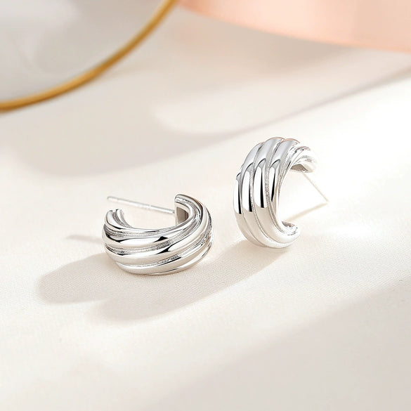 Wholesale Women's Light Luxury S925 Sterling Silver Wave Pattern Ctype Earrings With Electroplating