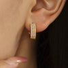 Wholesale Women's Light Luxury 316L Stainless Steel Geometric Donut Zircon Earrings With Pvd Plating 18K Real Gold