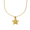 Wholesale Women's Light Luxury Style Electroplated Stainless Steel Fivepointed Star Necklace