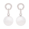 Wholesale Women's Light Luxury Style Geometric Crystal Earrings S925 Sterling Silver Set With Crystals