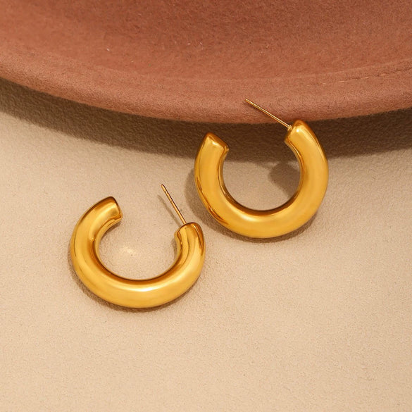 Wholesale Women's Light Luxury Style Geometric Ushaped Cshaped Stainless Steel Electroplated Earrings