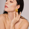 Wholesale Women's Light Luxury Style 316L Stainless Steel Geometric Oval Matte Brushed Electroplated Earrings