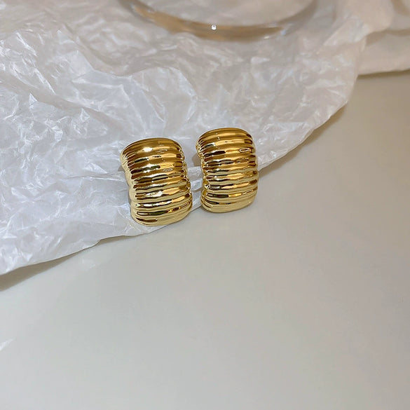 Wholesale Women's Metal Brushed Geometric Heart Shape Electroplated Earrings