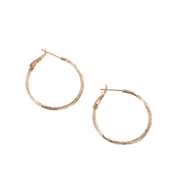 Wholesale Women's Metal Geometric Circle Earrings Copper Zinc Alloy Electroplating