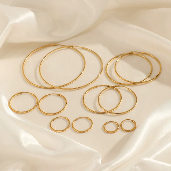 Wholesale Women's Minimalist Geometric Stainless Steel Electroplated Hoop Earrings