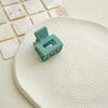 Wholesale Women's Minimalist Plastic Resin Square Bangs Hair Clip With Seiko Design