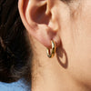 Wholesale Women's Niche Style Geometric Stainless Steel Electroplated Hoop Earrings