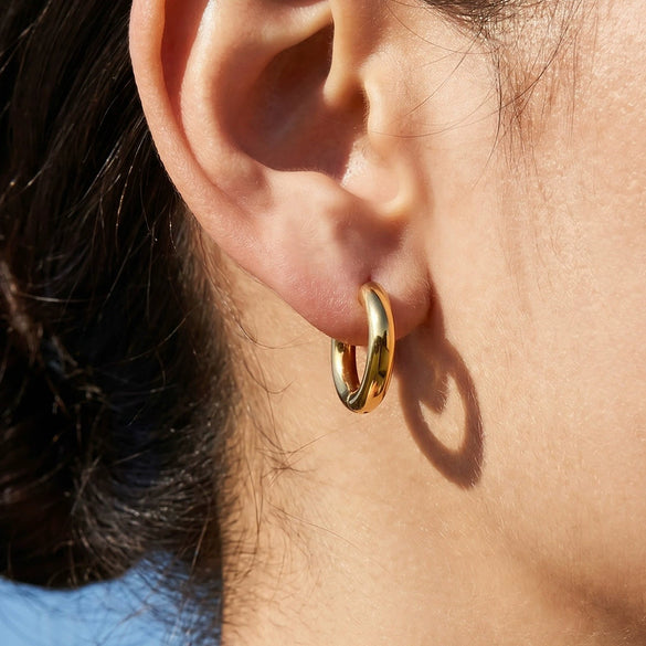 Wholesale Women's Niche Style Geometric Stainless Steel Electroplated Hoop Earrings