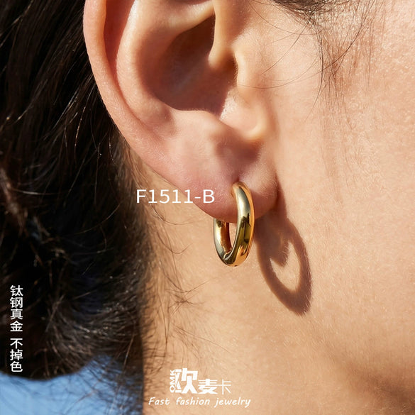 Wholesale Women's Niche Style Geometric Stainless Steel Electroplated Hoop Earrings