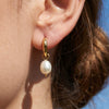 Wholesale Women's Niche Style Geometric Stainless Steel Electroplated Hoop Earrings