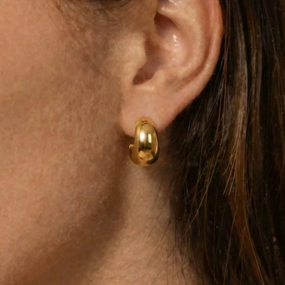Wholesale Women's Niche Style Geometric Stainless Steel 18K Gold Plated Semicircle Cshaped Earrings
