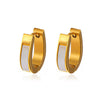 Wholesale Women's Oval Geometric Stainless Steel Earrings With Electroplating Treatment