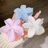 Wholesale Women's Plastic And Resin Hair Gripper Set With Marble Pattern And Egg Flower Design Baking Paint Process