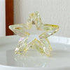 Wholesale Women's Plastic And Resin Laser Hollow Star Hair Claw Clip Simple Style Seiko Design