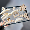 Wholesale Women's Plastic Resin Hair Clips Simple Geometric Style Baking Paint Process
