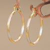 Wholesale Women's Princess Style Geometric Copper Earrings With Electroplating