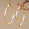 Wholesale Women's Princess Style Geometric Copper Electroplated Earrings