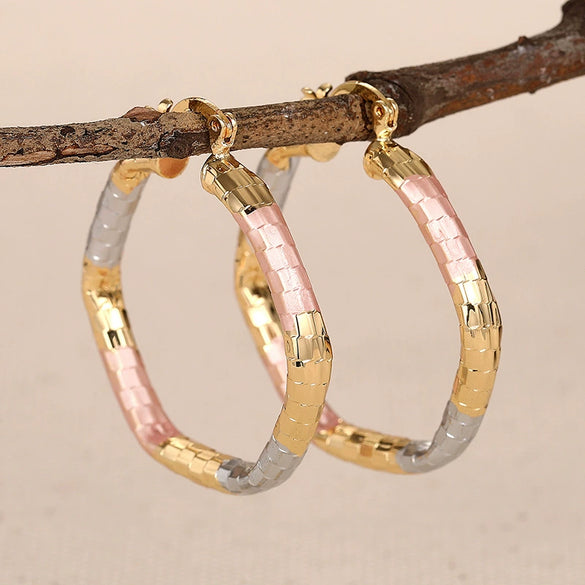 Wholesale Women's Princess Style Geometric Copper Electroplated Earrings