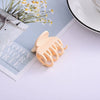 Wholesale Women's Resin Small Claw Clip Hair Accessory With Baking Paint Finish