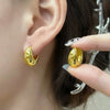 Wholesale Women's Retro Zinc Alloy Drop Shape Ear Jewelry With Gold Electroplating