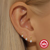 Wholesale Women's S925 Silver Stacking Style Geometric Earrings Set With Electroplating Horse Eye Zircon And Leaf Design
