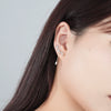 Wholesale Women's S925 Sterling Silver Forest Style Floral Leaf Micro Inlaid Zircon Tassel Earrings