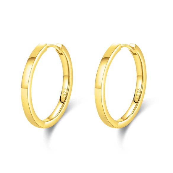 Wholesale Women's S925 Sterling Silver Geometric Design Electroplated Earrings