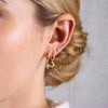 Wholesale Women's S925 Sterling Silver Geometric Eightpointed Star Earrings With Zircon Design