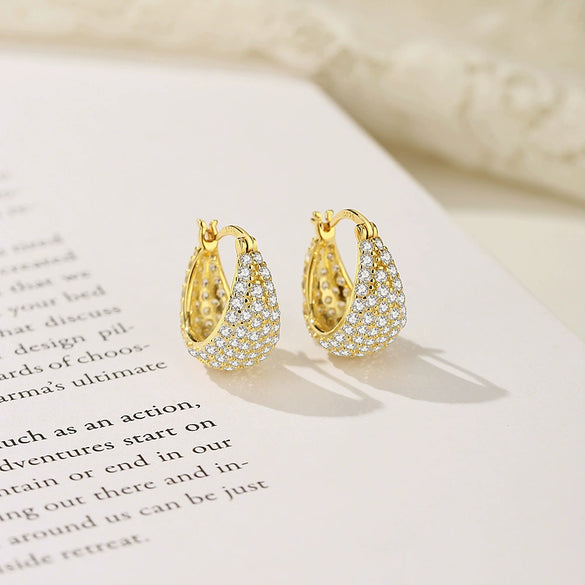 Wholesale Women's S925 Sterling Silver Geometric Hoop Earrings With Electroplating