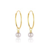 Wholesale Women's S925 Sterling Silver Geometric Zircon Earrings