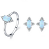 Wholesale Women's S925 Sterling Silver Light Luxury Geometric Earrings Set With Precious Stones