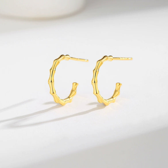 Wholesale Women's 925 Silver Geometric Ushape And Cshape Electroplated Earrings Light Luxury Niche Simple Design