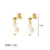 Wholesale Women's Simple Geometric Stainless Steel Electroplated Earrings