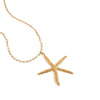 Wholesale Women's Stainless Steel And Titanium Steel Animal Style Geometric Starfish Necklace With Electroplating