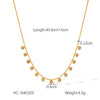 Wholesale Women's Stainless Steel And Titanium Steel Geometric Zircon Tassel Clavicle Necklace