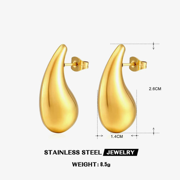 Wholesale Women's Stainless Steel Drop Shape Ins Style Electroplated Earrings