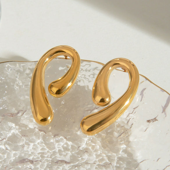 Wholesale Women's Stainless Steel Electroplated Drop Shape Trend Earrings