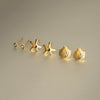 Wholesale Women's Stainless Steel Geometric Animal Original Design Electroplated Ocean Style Starfish Earrings