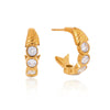 Wholesale Women's Stainless Steel Geometric Fishshaped Cshaped Electroplated Earrings