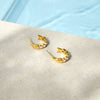 Wholesale Women's Stainless Steel Geometric Fishshaped Cshaped Electroplated Earrings
