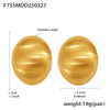 Wholesale Women's Stainless Steel Geometric Oval Frosted Brushed Light Luxury Style Electroplated Earrings