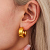 Wholesale Women's 316L Stainless Steel Geometric Ushaped Electroplated Light Luxury Earrings