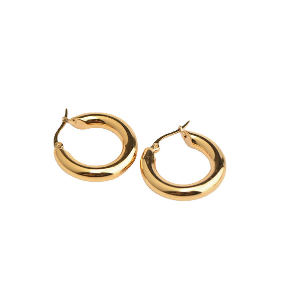 Wholesale Women's Stainless Steel Hoop Earrings Geometric Style Electroplated